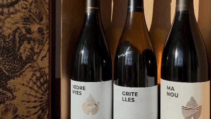 Private Priorat Wine Tasting from Salou with Free Hotel Pickup and an Oenologist (2/7)