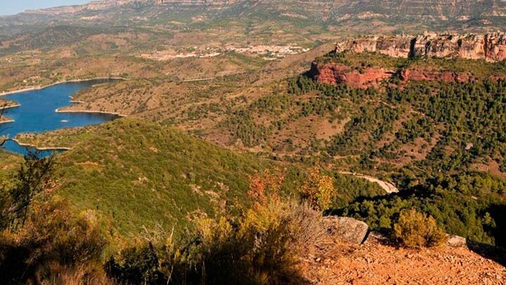 Private Priorat Wine Tasting from Salou with Free Hotel Pickup and an Oenologist (1/7)