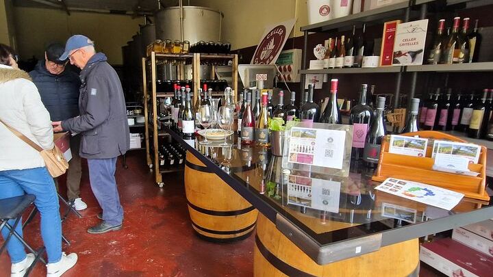 Private Priorat Wine Tasting from Salou with Free Hotel Pickup and an Oenologist (4/7)