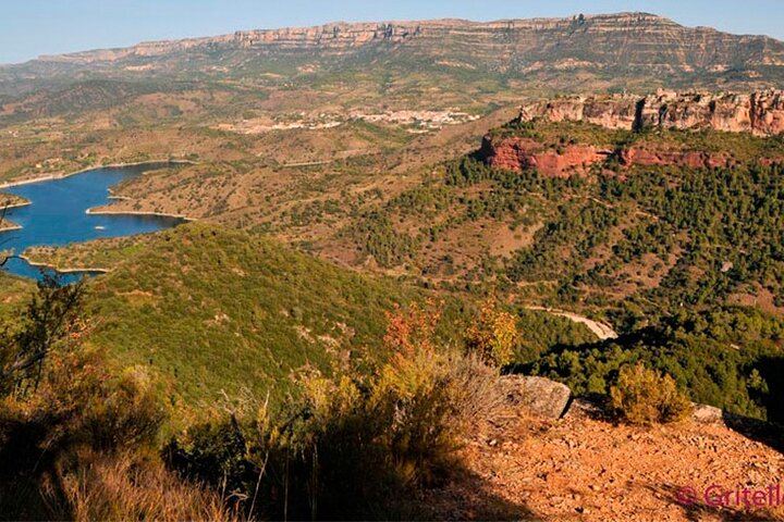 Private Priorat Wine Tasting from Salou with Free Hotel Pickup and an Oenologist (1/7)