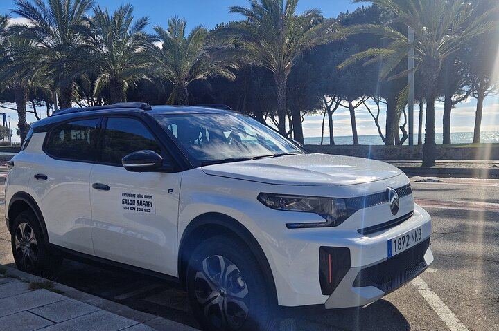 Private Priorat Wine Tasting from Salou with Free Hotel Pickup and an Oenologist (7/7)