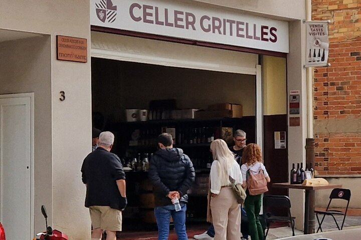 Private Priorat Wine Tasting from Salou with Free Hotel Pickup and an Oenologist (5/7)