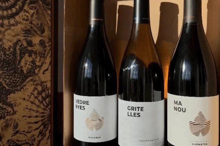 Private Priorat Wine Tasting from Salou with Free Hotel Pickup and an Oenologist (2/7)