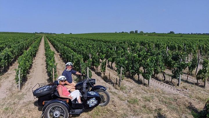 Private Vintage Sidecar Ride Through the Saint-Émilion Vineyards, 1.5 Hours (4/6)