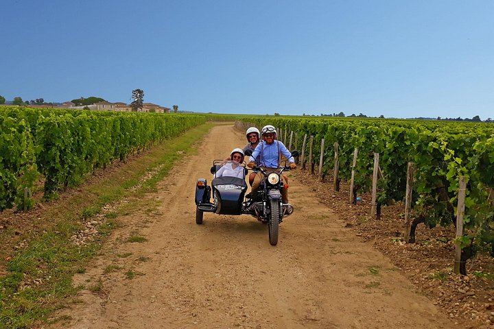 Private Vintage Sidecar Ride Through the Saint-Émilion Vineyards, 1.5 Hours (1/6)