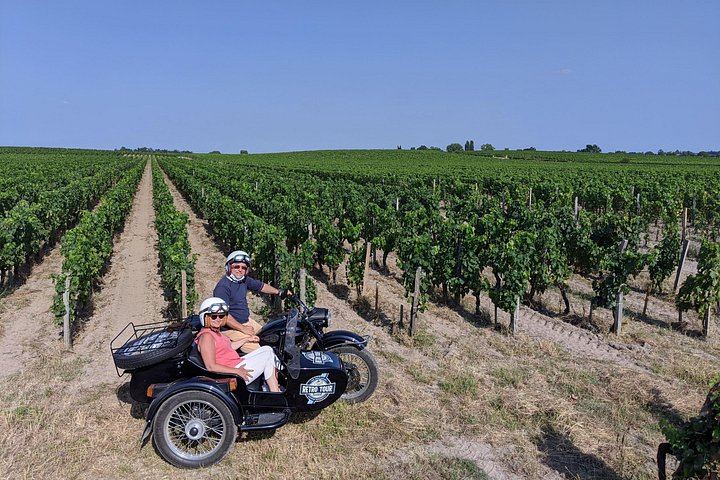 Private Vintage Sidecar Ride Through the Saint-Émilion Vineyards, 1.5 Hours (4/6)