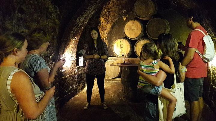 Private Rioja Tasting Tour: Two Wineries, Riscal and Ysios Views, Home-Cooked Lunch (3/12)