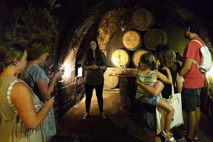Private Rioja Tasting Tour: Two Wineries, Riscal and Ysios Views, Home-Cooked Lunch (3/12)