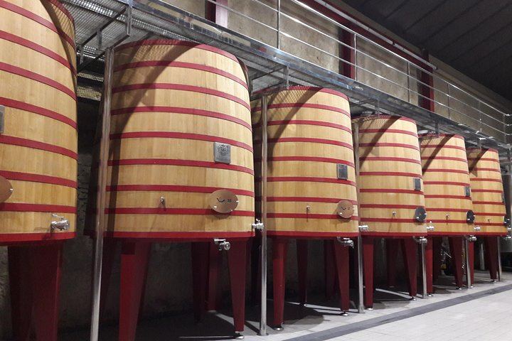 Private Rioja Tasting Tour: Two Wineries, Riscal and Ysios Views, Home-Cooked Lunch (6/12)