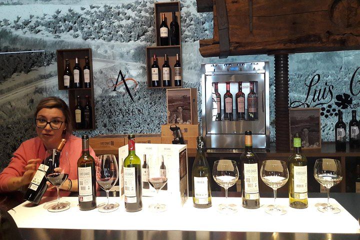 Private Rioja Tasting Tour: Two Wineries, Riscal and Ysios Views, Home-Cooked Lunch (11/12)