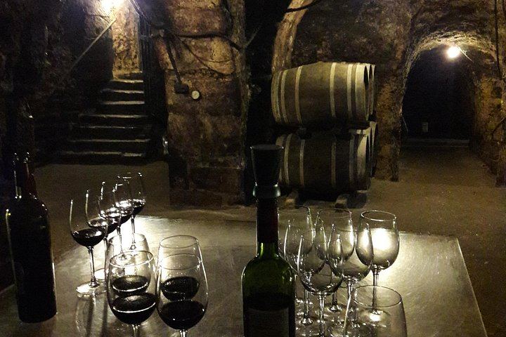 Private Rioja Tasting Tour: Two Wineries, Riscal and Ysios Views, Home-Cooked Lunch (12/12)