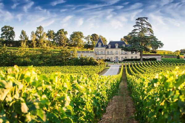 Private Full-Day Saint-Émilion Tour from Bordeaux with Olala Bordeaux, 3 Wineries