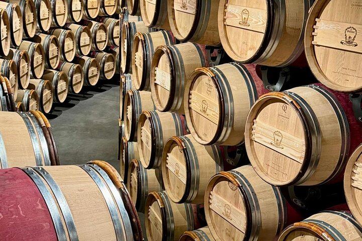 Private Full-Day Saint-Émilion Tour from Bordeaux with Olala Bordeaux, 3 Wineries (10/12)