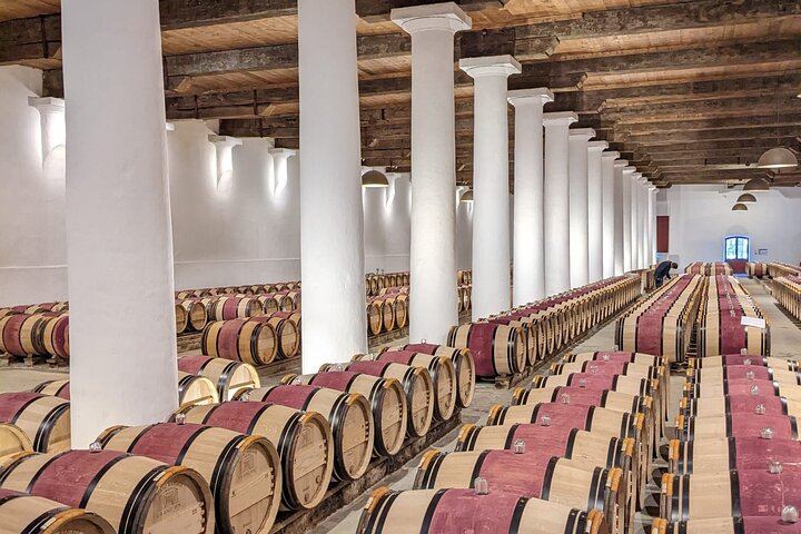 Private Full-Day Saint-Émilion Tour from Bordeaux with Olala Bordeaux, 3 Wineries (4/12)