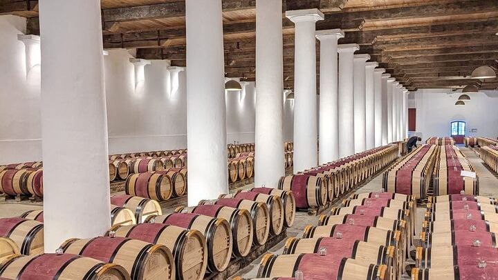 Private Full-Day Saint-Émilion Tour from Bordeaux with Olala Bordeaux, 3 Wineries (4/12)
