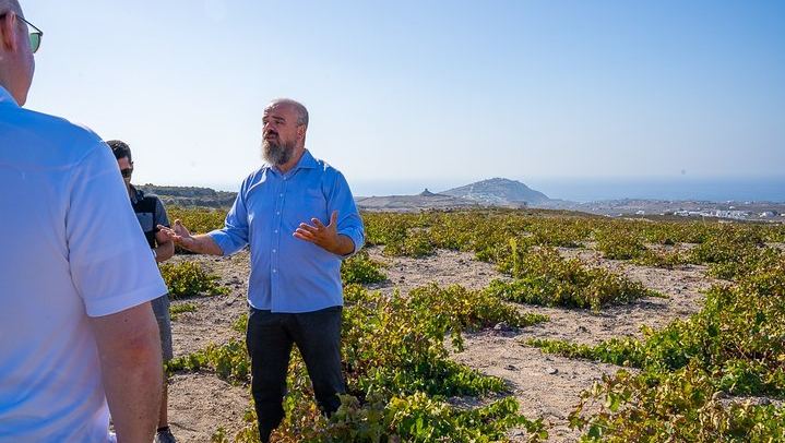 Santorini Wine Roads Signature Tour, Morning or Sunset, with Barrel Tasting (3/12)