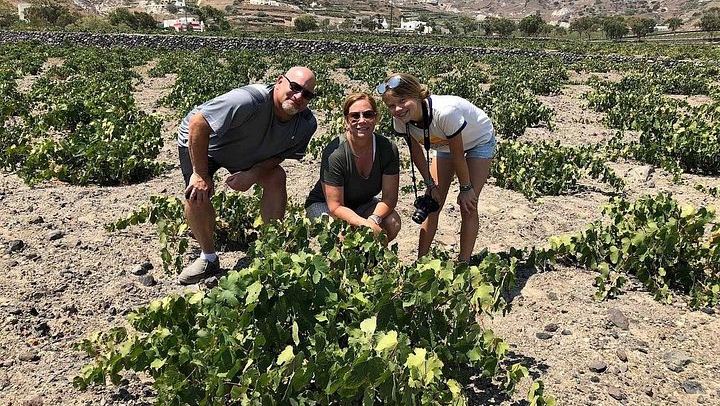 Private Santorini Wine Tour: Argyros, Gaia and Santo Wines, 4 Hours (2/12)