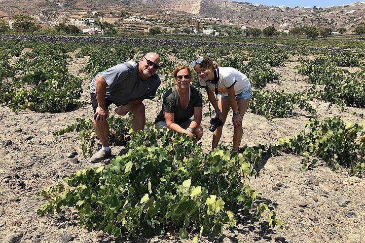 Private Santorini Wine Tour: Argyros, Gaia and Santo Wines, 4 Hours (2/12)