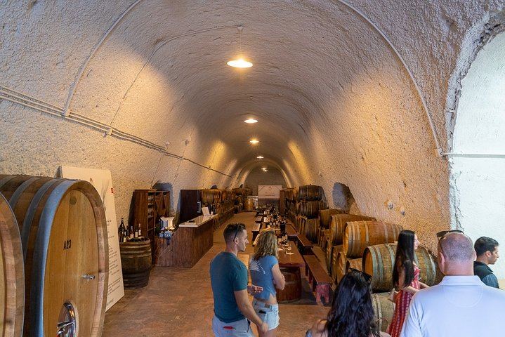 Private 4-Hour Santorini Wine Tour by Luxury Vehicle: Three Wineries and a Light Meal (8/12)