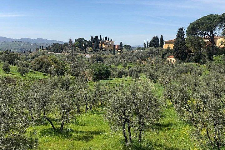Self-Guided E-Bike Loop from Florence to Fiesole, Settignano and a Chianti Vineyard (9/9)