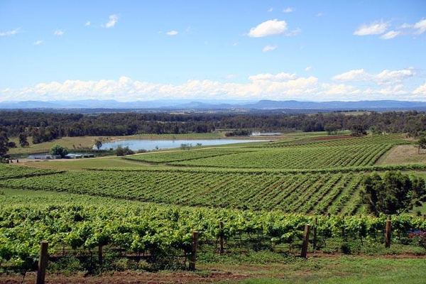 Private Hunter Valley Wine Day for 1-7 Guests: Four Boutique Wineries and Lunch