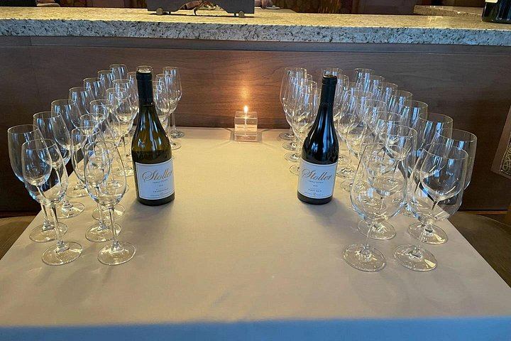 Sommelier-Led Private Sonoma or Napa Wine Tour in an Electric VW ID Buzz Van (4/7)
