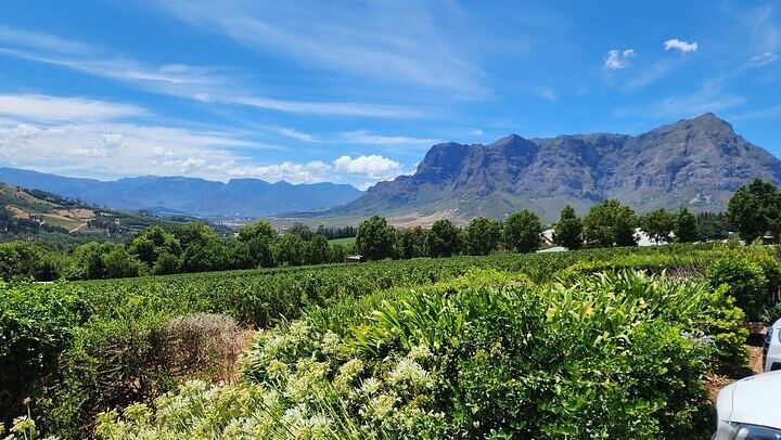 Private Cape Town to Stellenbosch Wine Day: Spier, Rust en Vrede, Delaire Graff, Tokara (4/12)