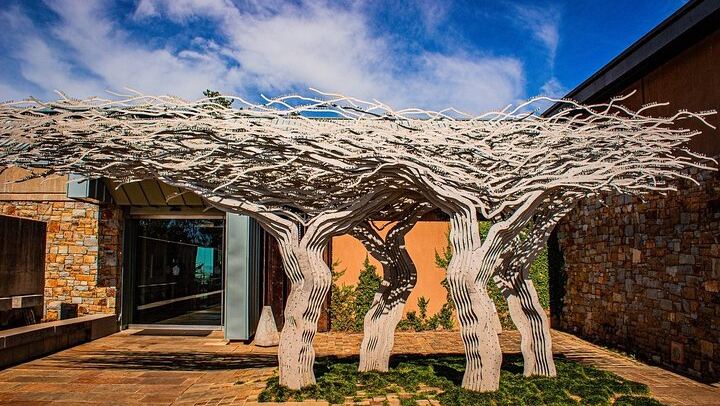 Private Cape Town to Stellenbosch Wine Day: Spier, Rust en Vrede, Delaire Graff, Tokara (3/12)