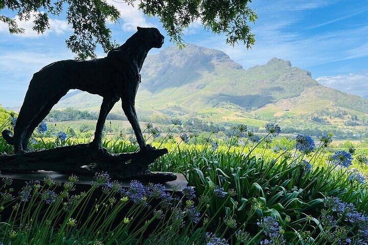 Private Cape Town to Stellenbosch Wine Day: Spier, Rust en Vrede, Delaire Graff, Tokara (10/12)