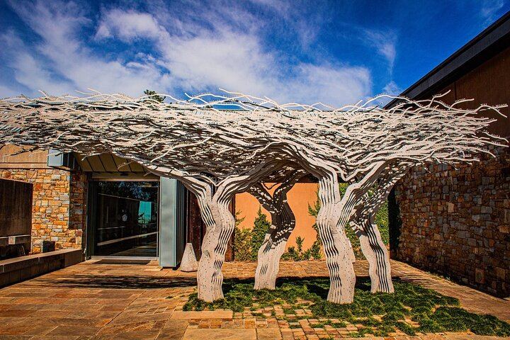 Private Cape Town to Stellenbosch Wine Day: Spier, Rust en Vrede, Delaire Graff, Tokara (3/12)