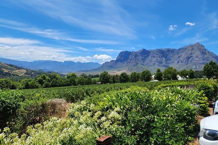 Private Cape Town to Stellenbosch Wine Day: Spier, Rust en Vrede, Delaire Graff, Tokara (4/12)