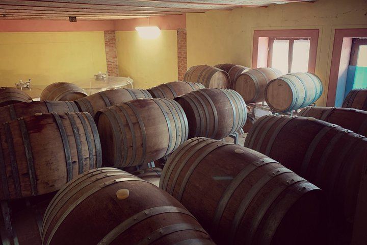 Private Sommelier-Led Barbaresco Tasting at Tenuta San Mauro, Castagnole delle Lanze (5/7)