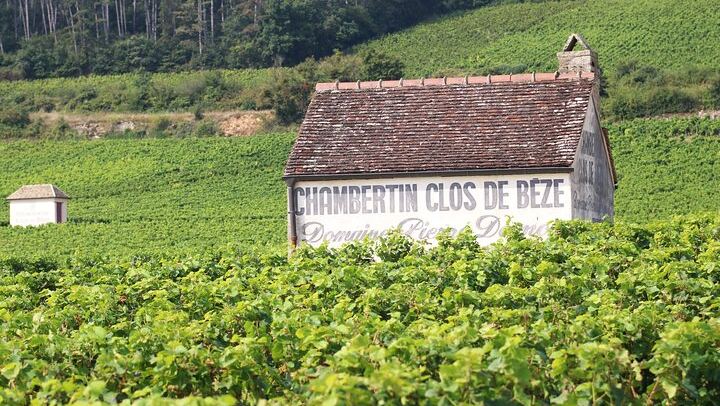 Private Côte d'Or Wine Tasting Tour Between Dijon and Beaune with Pickup (1/12)