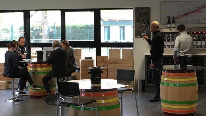 Private Sommelier Tasting in Beaune: Seven Premier and Grand Cru Burgundy Wines (3/6)