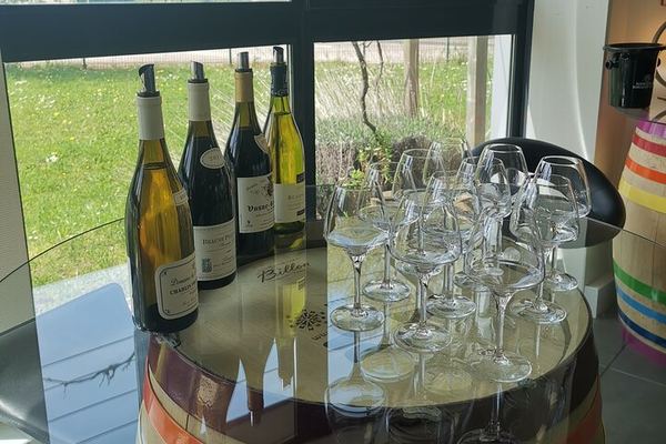 Private Sommelier Tasting in Beaune: Seven Premier and Grand Cru Burgundy Wines