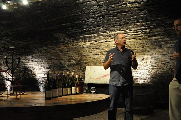 Full-Day Private Burgundy Tour: 3 Tastings, Estate Lunch, 6 Premiers & Grands Crus