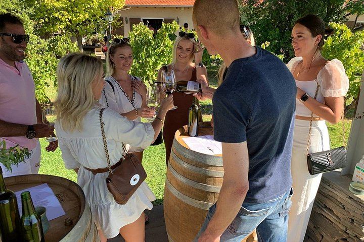 Barossa Valley Shared Wine Tour with Henschke, Yalumba and Chauffeured Pickup (1/12)