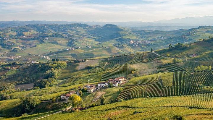 Private Barolo Tasting Tour from Turin: Half or Full Day, La Morra, Grinzane Cavour (4/12)