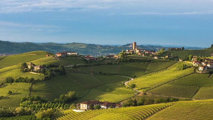 Private Barolo Tasting Tour from Turin: Half or Full Day, La Morra, Grinzane Cavour (2/12)