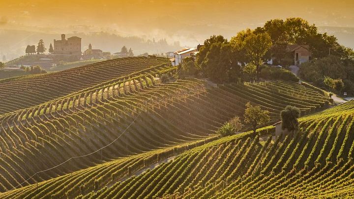 Private Barolo Tasting Tour from Turin: Half or Full Day, La Morra, Grinzane Cavour (1/12)