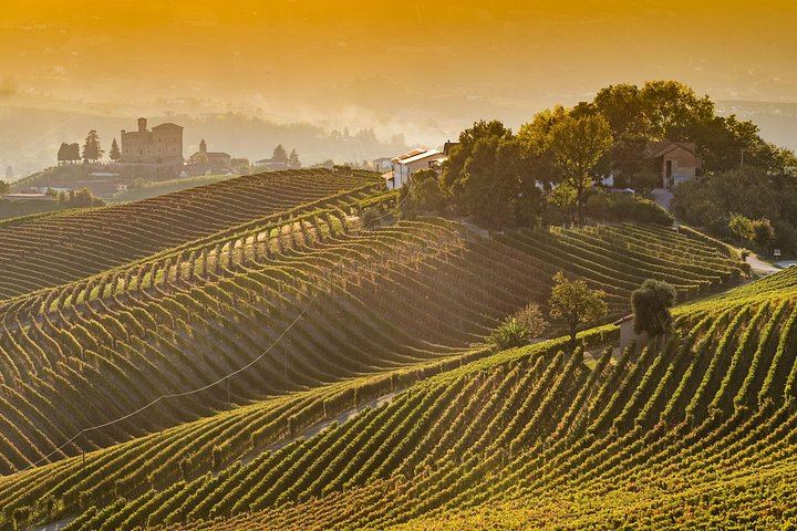 Private Barolo Tasting Tour from Turin: Half or Full Day, La Morra, Grinzane Cavour (1/12)