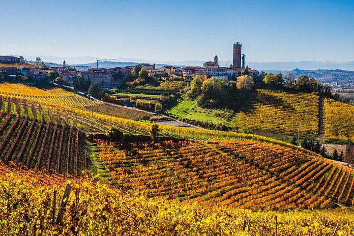 Private Barolo Tasting Tour from Turin: Half or Full Day, La Morra, Grinzane Cavour (5/12)