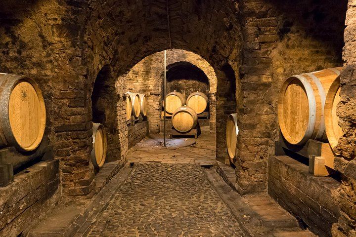 Private Barolo Tasting Tour from Turin: Half or Full Day, La Morra, Grinzane Cavour (8/12)