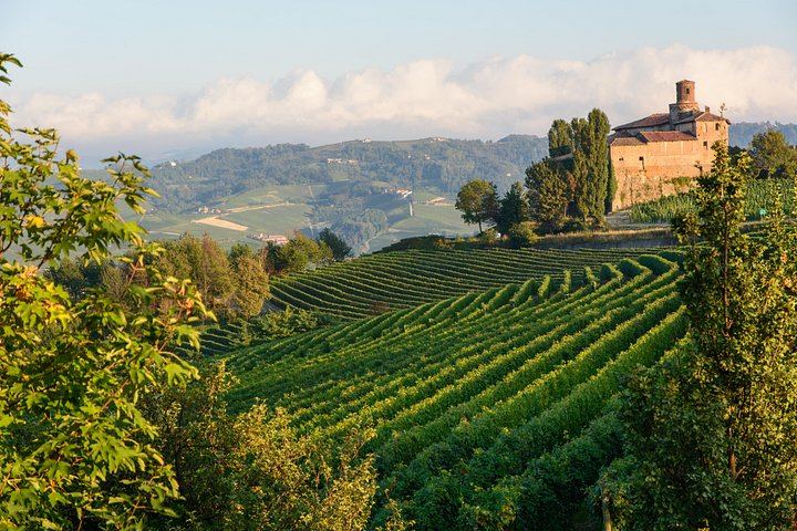 Private Barolo Tasting Tour from Turin: Half or Full Day, La Morra, Grinzane Cavour (10/12)