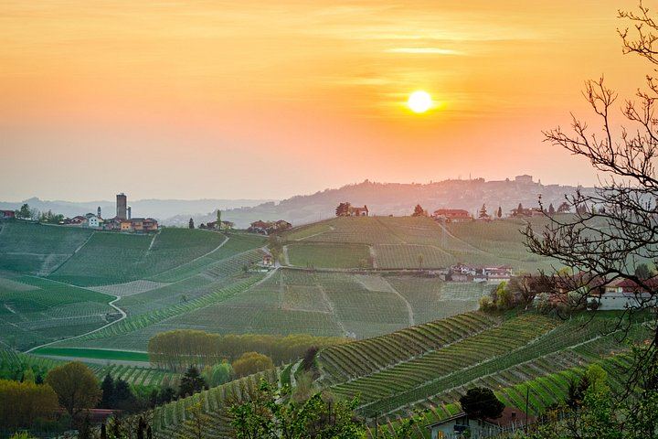 Private Barolo Tasting Tour from Turin: Half or Full Day, La Morra, Grinzane Cavour (9/12)