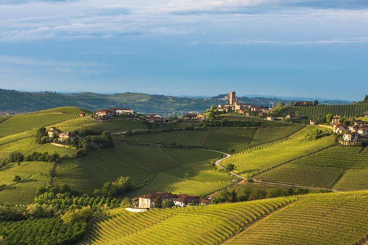 Private Barolo Tasting Tour from Turin: Half or Full Day, La Morra, Grinzane Cavour (2/12)