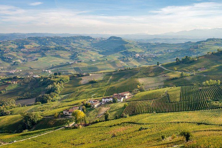 Private Barolo Tasting Tour from Turin: Half or Full Day, La Morra, Grinzane Cavour (4/12)