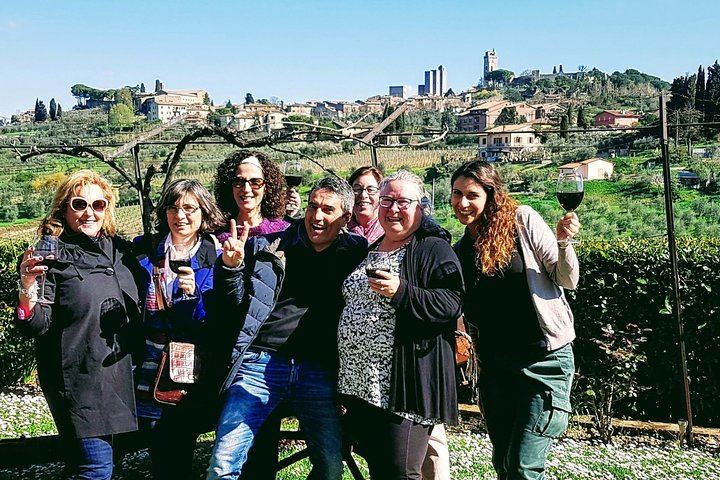 Private Chianti Wine Region Day by Minivan with Winery Lunch and Medieval Hamlets (5/5)