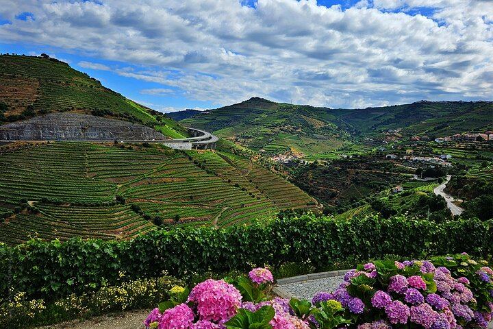 Private Porto Tour to Minho Green Wines and Douro Valley with Chef Lunch and Boat Ride (11/11)
