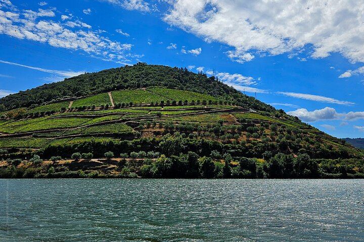 Private Porto Tour to Minho Green Wines and Douro Valley with Chef Lunch and Boat Ride (10/11)